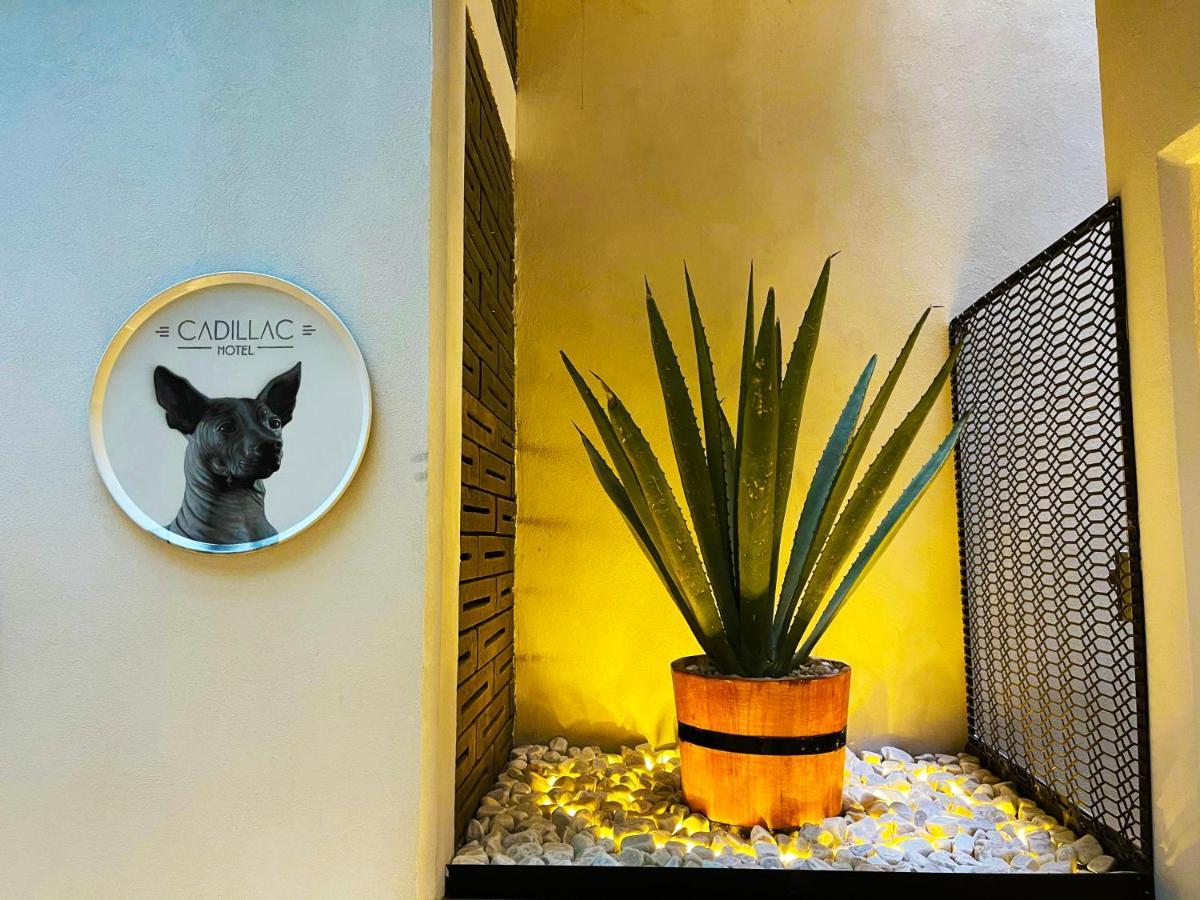 Cadillac Cocoon Beds Mexikóváros Kültér fotó